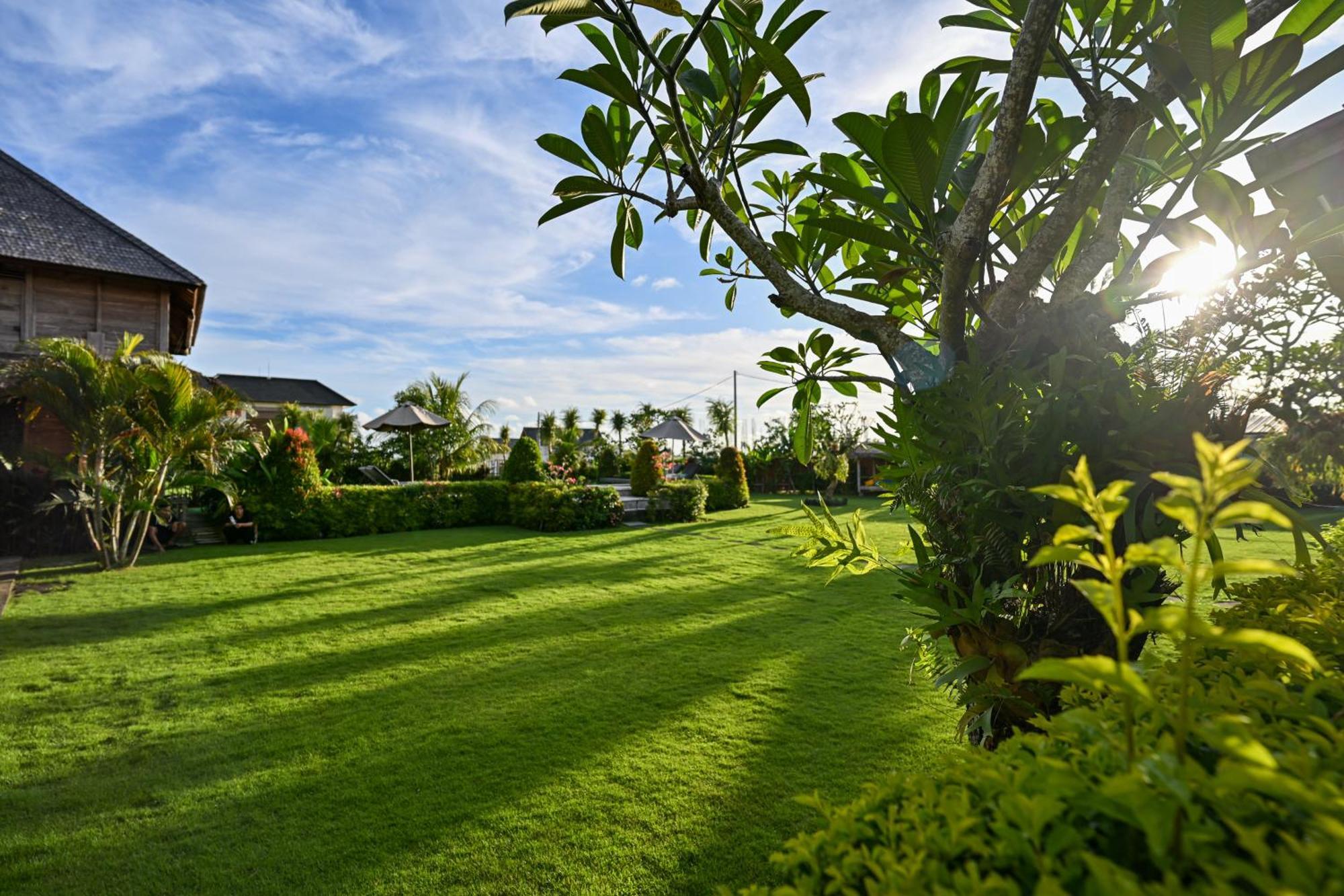 Canggu Wooden Green Paradise Ngoại thất bức ảnh